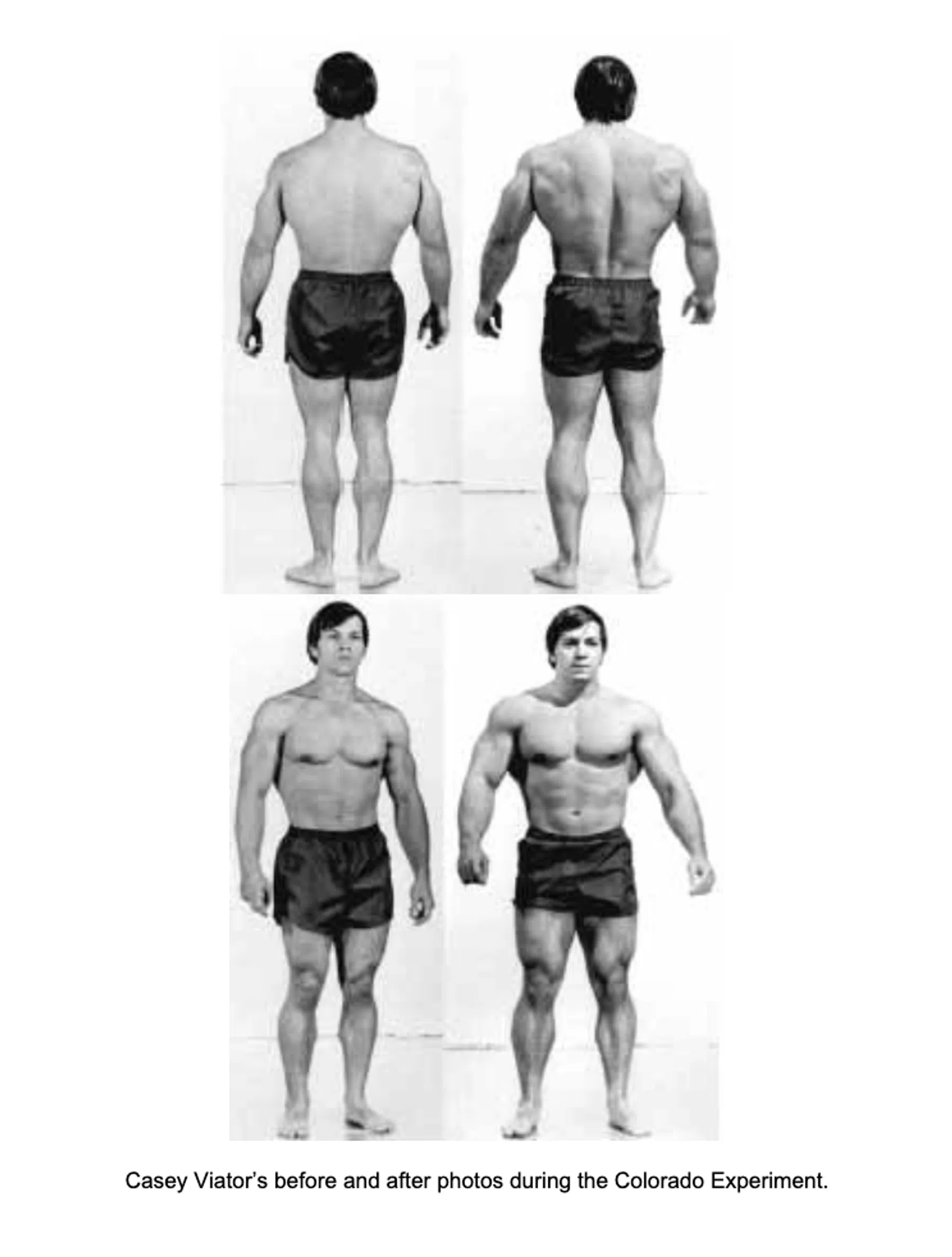 Casey Viator tijdens het colorado experiment waar hij heel veel spiermassa aankwam door arthur Jones